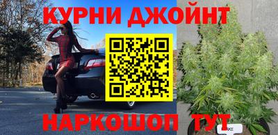 mdpv Кандалакша
