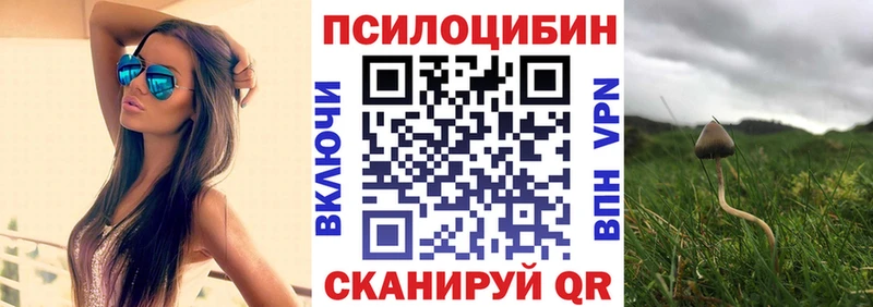 Галлюциногенные грибы мицелий  блэк спрут рабочий сайт  Магадан 
