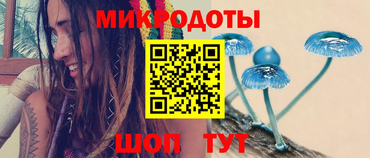 Магадан  Галлюциногенные грибы ЛСД  Галлюциногенные грибы Psilocybe  купить наркотики цена  Вход с VPN 