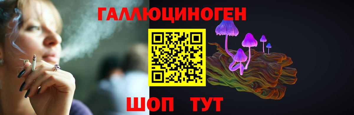 Галлюциногенные грибы Psilocybine cubensis Магадан