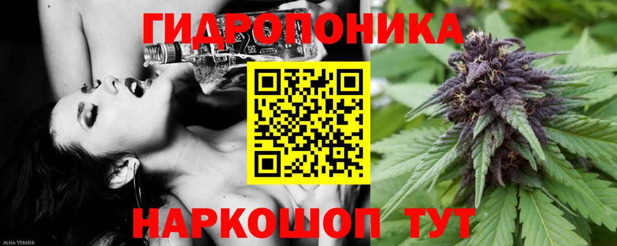 Магадан  МАРИХУАНА Amnesia  Конопля планчик  Канабис ГИДРОПОН  Вход с VPN  Марихуана тримм 